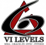 6 Levels Orlando Icon Logo
