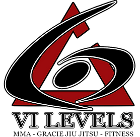 VI Levels Logo